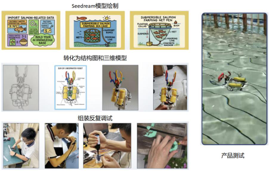 福州第八中学三文鱼探究